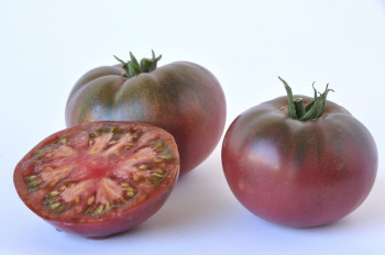 Tomate Ancienne Côtelée | Type Noire de Crimée