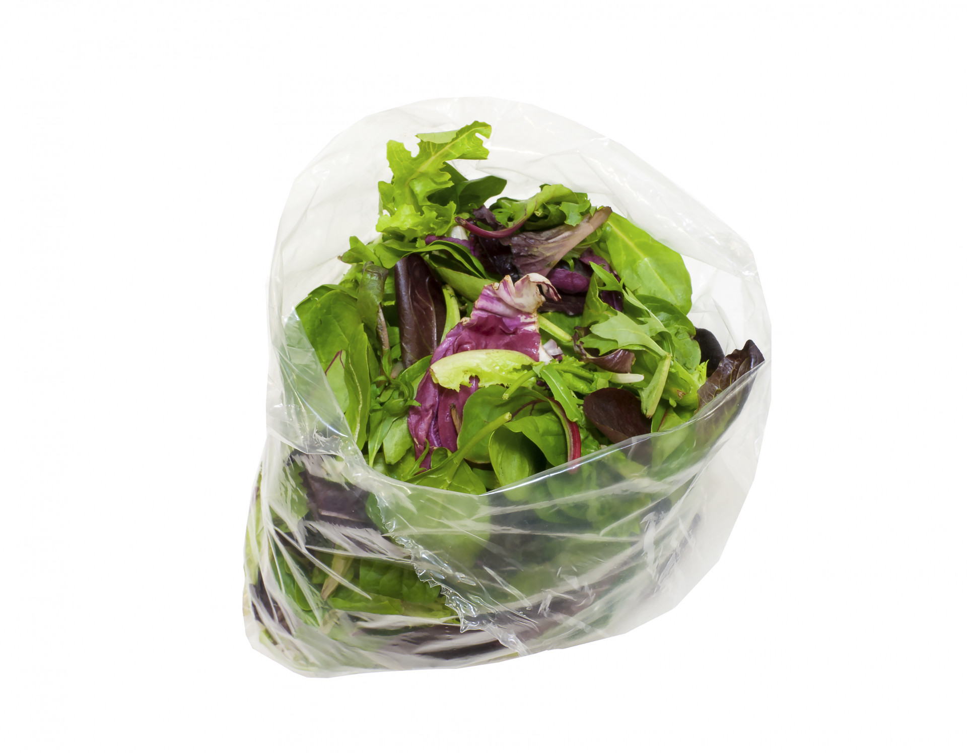 Grand Sachet de Salade | Lavée | Sans assaisonnement | Fait Maison